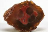 Polished Candy Agate - Malawi #207363-1